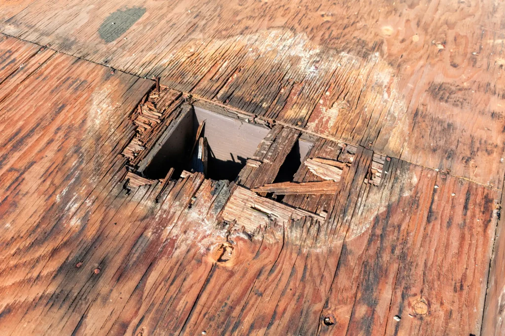 Roof Decking and Sheathing Rot