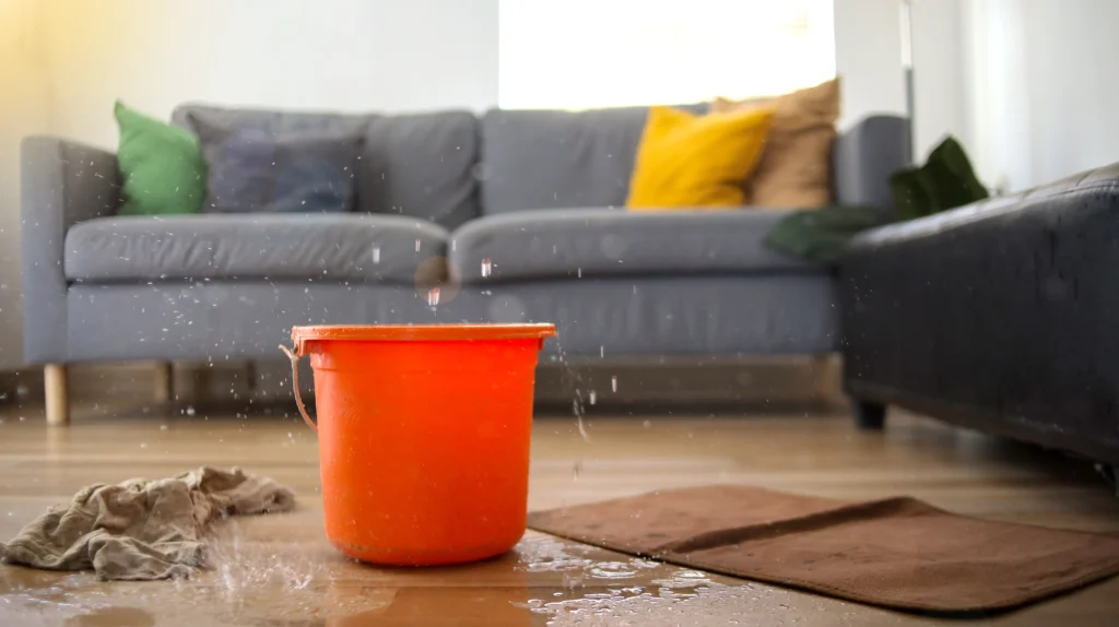 Ceiling leak caused by roof damage during winter in North Carolina