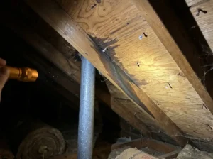 What To Do If Water Stains Show Up After a Freeze-Then-Thaw